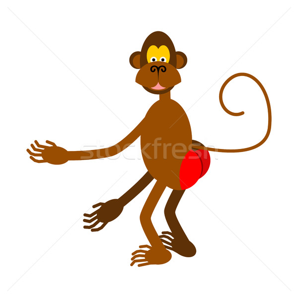hamadryad isolated. monkey red butt on white background. Stock photo © MaryValery
