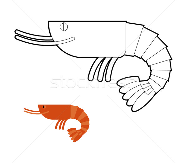 Shrimp coloring book. Small Marine cancroid. Ocean plankton. Stock photo © MaryValery