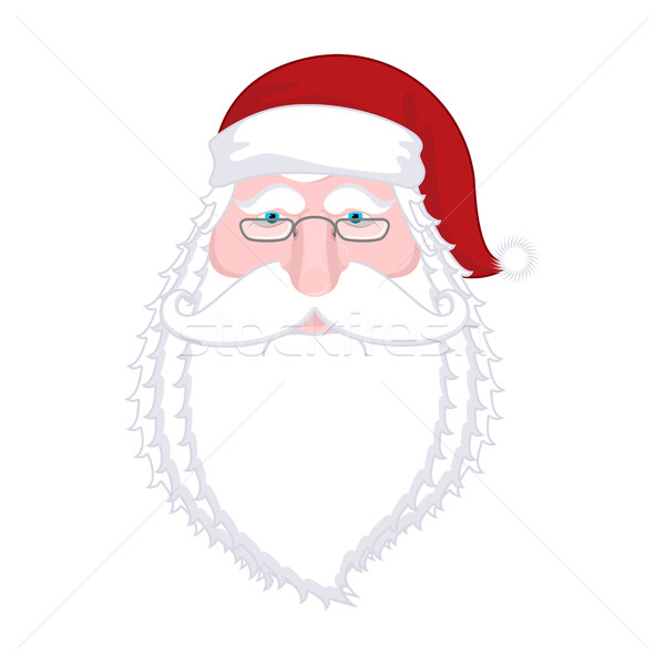 Santa Claus portrait. Christmas Grandpa with white beard and red Stock photo © MaryValery