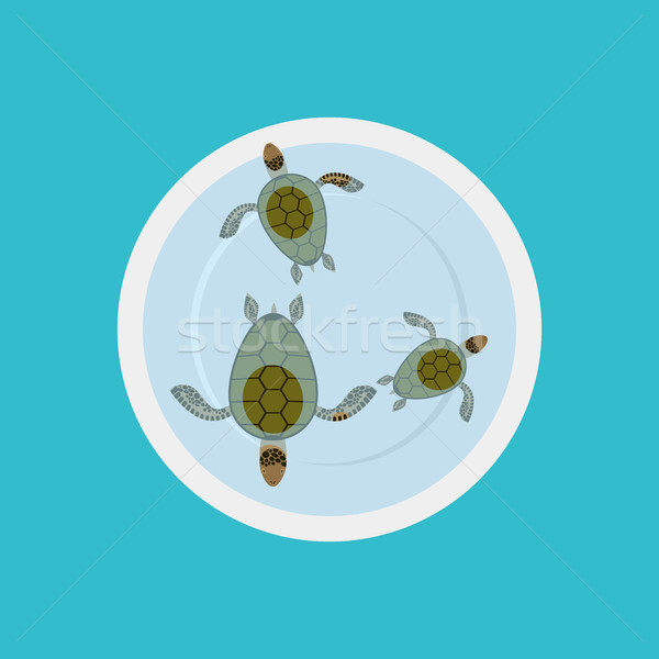Turtle soup isolated. Delicatessen food on blue background. Sea  Stock photo © MaryValery