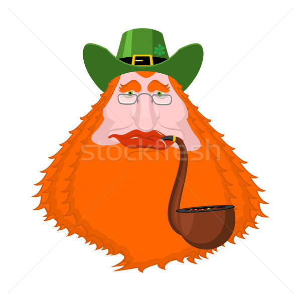 Stock photo: St. Patrick's Day Leprechaun with red beard and pipe. Green hat.