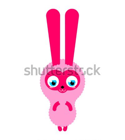 кролик череп изолированный розовый заяц скелет Сток-фото © MaryValery