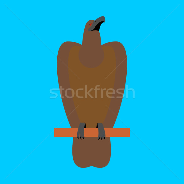 Hawk isolated. Golden eagle on blue background. Big strong bird Stock photo © MaryValery