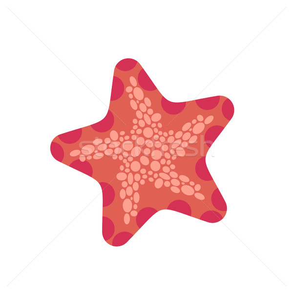 Starfish isolated. Sea animals on white background. aquatic moll Stock photo © MaryValery