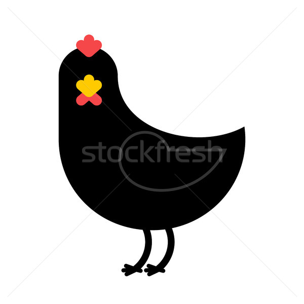 Black Chicken isolated. Unique farm bird on white background. Ac Stock photo © MaryValery
