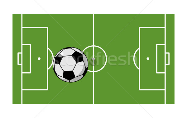 Football field and ball. Soccer game. Game ball high above groun Stock photo © MaryValery