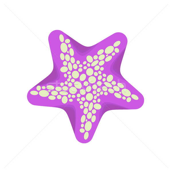 Steaua de mare izolat animale marine alb acvatic frumuseţe Imagine de stoc © MaryValery