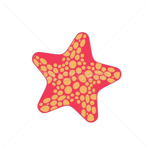 Starfish изолированный морских животных белый водный красоту Сток-фото © MaryValery