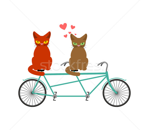 Chat amoureux tandem amoureux vélo commune Photo stock © MaryValery