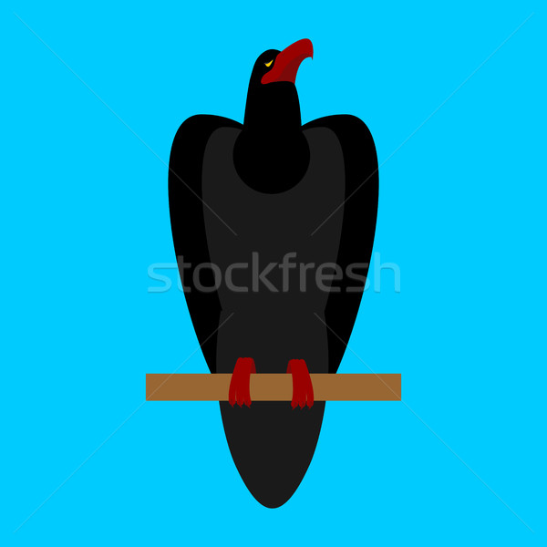 Black Raven isolated. Big bird on blue background Stock photo © MaryValery