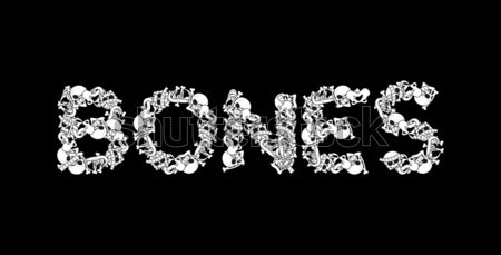 Bones typography. Letters from dearh. Anatomy lettering. Skull a Stock photo © MaryValery