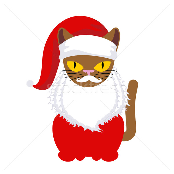 Cat Santa. Pet in Christmas cap. New Year illustration. Xmas tem Stock photo © MaryValery
