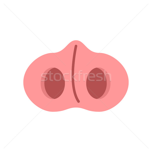 Wieprzowych nosa odizolowany świń pysk biały Zdjęcia stock © MaryValery