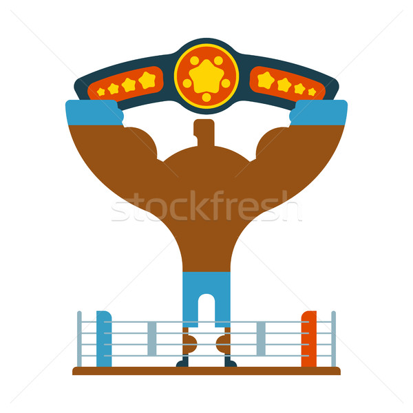 Champion Boxer winner hands up. Winning tournament. Championship Stock photo © MaryValery