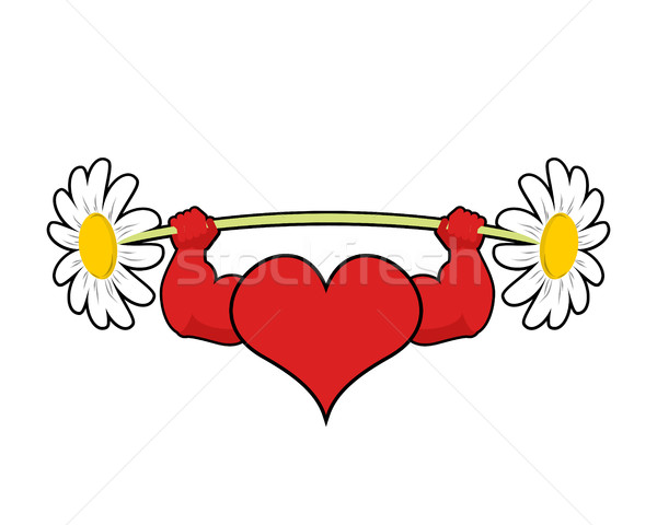 Heart strong. love powerful. Sport barbell chamomile flower Stock photo © MaryValery