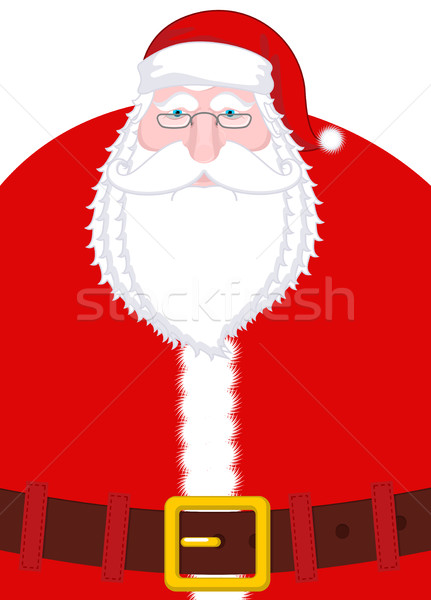 Santa Claus portrait. Christmas Grandpa with white beard and red Stock photo © MaryValery