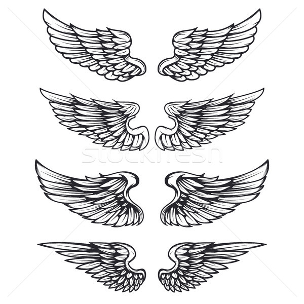 Set of vintage vector wings isolated on white background. Design Stock photo © masay256
