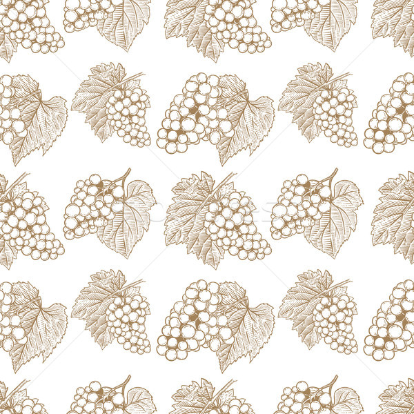 Seamless pattern with hand drawn grape. Design element for poster, card, banner, flyer.  Stock photo © masay256