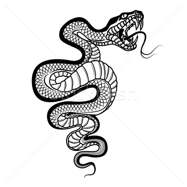 Snake illustration isolated on white background. Viper. Design element for logo, label,emblem, sign, Stock photo © masay256