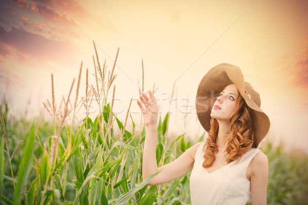 photo of beautiful young woman standing near the wheat plant Stock photo © Massonforstock