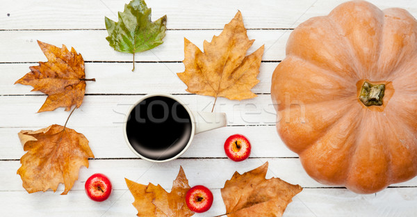 Cup of coffee and pumpkin with leafs  Stock photo © Massonforstock