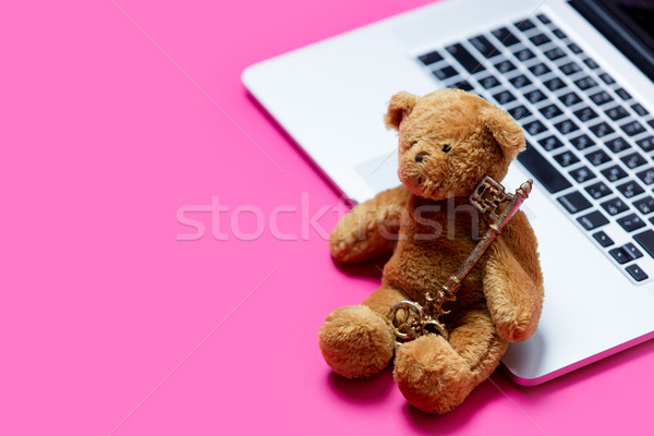 beautiful cute teddy bear with golden key and cool laptop on the Stock photo © Massonforstock