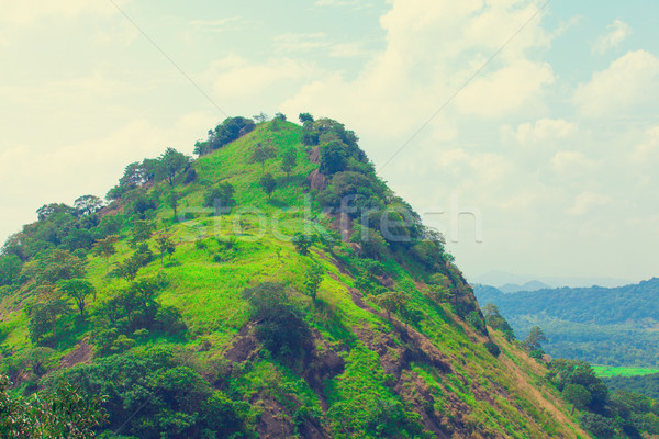 Sri Lanka tropicales forêt montagnes ciel herbe [[stock_photo]] © Massonforstock