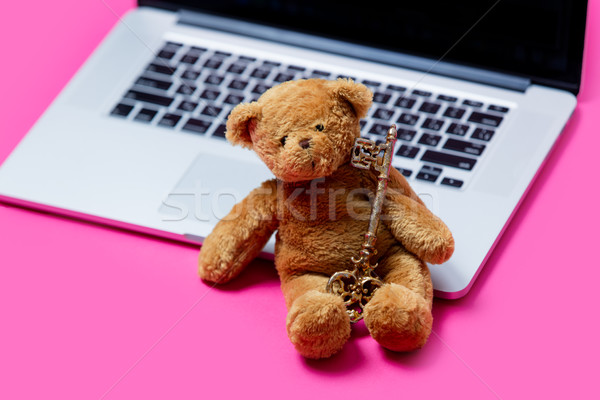 beautiful cute teddy bear with golden key and cool laptop on the Stock photo © Massonforstock