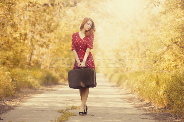 Foto stock: Menina · mala · árvores · beco · mulheres