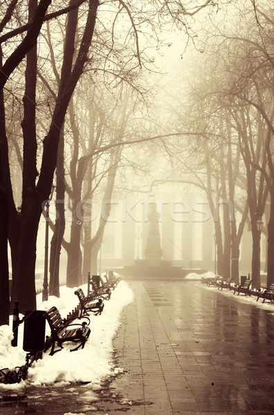 Winter alley in Odessa, Ukraine. Stock photo © Massonforstock