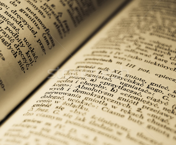 Old Polish dictionary. Photo in old image style.  Stock photo © Massonforstock