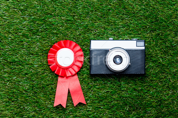 Rot belohnen grünen Gras über Punkt Stock foto © Massonforstock