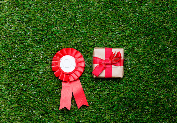 Piros jutalom ajándék doboz zöld fű fölött pont Stock fotó © Massonforstock