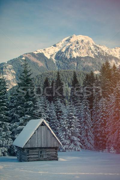 Eenzaam huis bos berg boom Stockfoto © Massonforstock