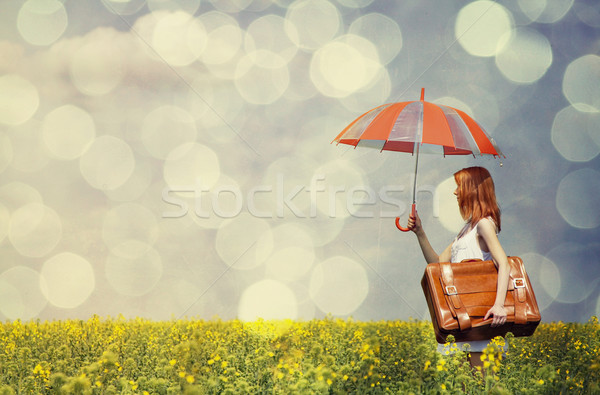 Foto stock: Paraguas · maleta · primavera · nubes · naturaleza