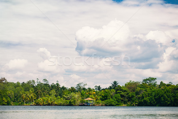 Lovely tropical coast Stock photo © Massonforstock