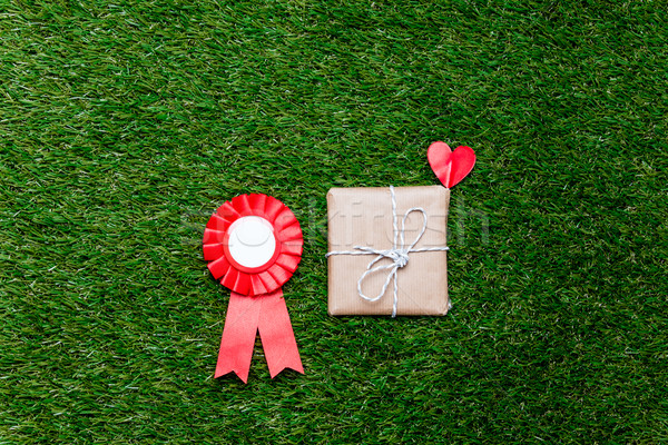 Piros jutalom ajándék doboz zöld fű fölött pont Stock fotó © Massonforstock