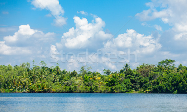 [[stock_photo]]: Belle · mer · merveilleux · exotique · jungle · ensoleillée