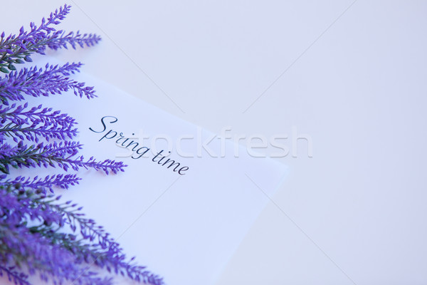 Paper with words Spring time  Stock photo © Massonforstock