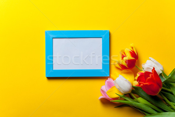 Stock foto: Bouquet · Tulpen · schönen · gelb · Blume