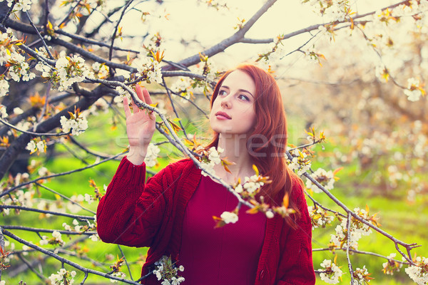 portrait of a young woman near blooming tree Stock photo © Massonforstock