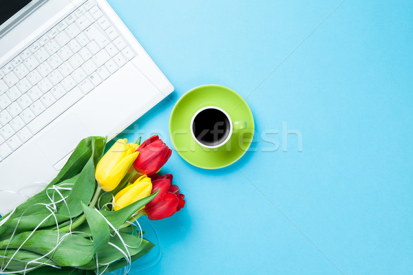 Copo café tulipas computador azul negócio Foto stock © Massonforstock