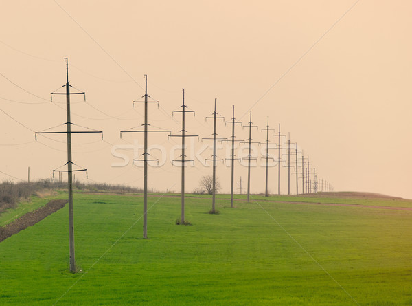 photo of high voltage power lines on the beautiful green field  Stock photo © Massonforstock