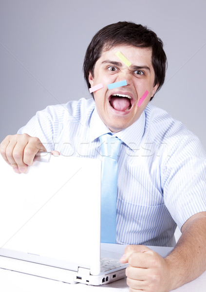 Foto stock: Jovem · patrão · branco · laptop · negócio · computador