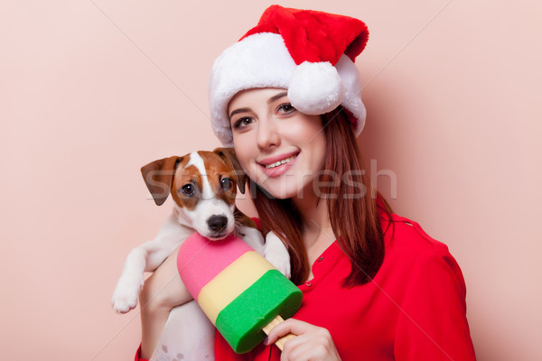 Frau Welpen Porträt jungen Rotschopf Stock foto © Massonforstock