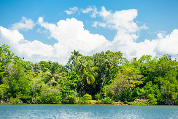 Lovely tropical coast Stock photo © Massonforstock