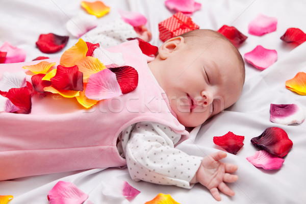 ストックフォト: 赤ちゃん · バラの花びら · 白 · 顔 · 幸せ
