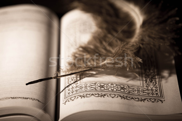 [[stock_photo]]: Stylo · vieux · livre · photo · vieux · vintage · style