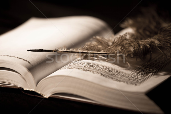 [[stock_photo]]: Stylo · vieux · livre · photo · vieux · vintage · style