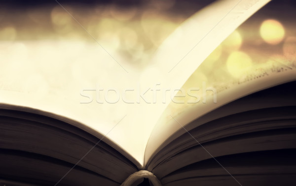open book Photo in retro style. Stock photo © Massonforstock